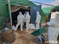 AI 전남서 10번째 검출…함평 산란계 농장