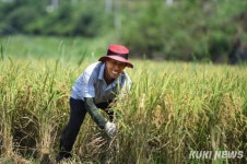 양곡법 개정은 미봉책…“2030년 연평균 1조원 써야”