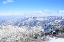 국민고향 정선, 설날 해발 1381m 가리왕산 정상 일출 케이블카 운행