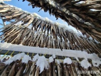 앵글에 담은 바람의 명작 인제 황태마을 겨울나기