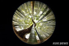 상생과 공존 [쿠키포토]