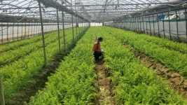 김해시 하나로 네개의 탄소중립 실천하는 1004탄생 캠페인 추진 [김해소식]