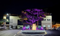 대한독립만세 합천서 3·1독립만세운동 재현[합천소식]