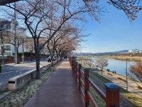 중구청·남구청·동구청·수성구청·달성군청 [대구소식]