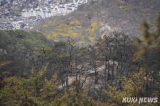 14시간 화마 버틴 인왕산, 검게 그을린 흔적만 [쿠키포토]