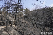 14시간 화마 버틴 인왕산, 검게 그을린 흔적만 [쿠키포토]
