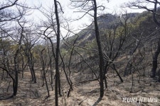 14시간 화마 버틴 인왕산, 검게 그을린 흔적만 [쿠키포토]
