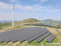전남도, 봄철 태양광발전 출력제어 보상대책 건의