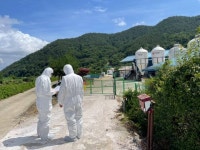 경남을 지켜라…경상남도, 아프리카돼지열병 유입 방지 안간힘