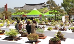 ‘의령의 봄날을 더욱 풍성하게“ 전국 분경야생화 작품전시회