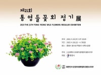 통영시, 고령친화도시 정책모니터단 상반기 회의 개최[통영소식]