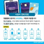 영월별빛고운카드 인센티브 10% 상향