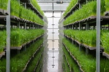 함안 칠원산성, 아라가야가 축조한 토성(土城)과 석성(石城) 확인 [함안소식]