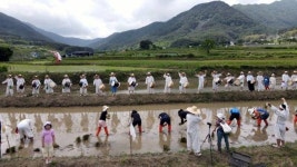 함안군-신대양포장, 735억원 규모 투자협약 체결 [함안소식]