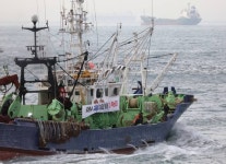 “바다를 정치 도구화 말라”…수산업계, 수산물 안전 홍보