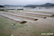 김태흠 충남지사, 청양·부여·공주 호우 피해 복구 현장 점검