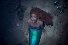 ‘지성인가, 위선인가’ 대학가에선 PC 논쟁 중 [쿠키청년기자단]