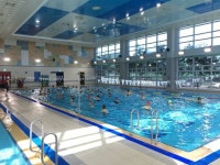 함안 연꽃테마파크 연꽃사진 공모전 대상작 김도기 씨 ‘연정’ [함안소식]