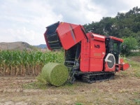 함안군, 고품질 조사료 생산 기반 조성 [함안소식]