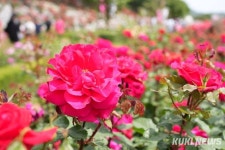 삼척 오랍드리 산소길 걷기대회 내달 14일 장미공원서 개최