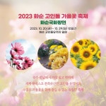 2023 화순 고인돌 가을꽃 축제 20일 개막