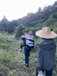 고성소방서, 적석산 삼보사 인근에서 80대 성묘객 구조