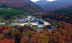 밀양의 색다른 자연경관을 느껴자…밀양시 사시사철 도보여행 진행 [밀양소식]