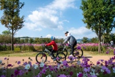 거창창포원과 가조온천에서 즐기는 가을 이색 행사