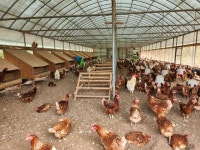 제7회 고성 가리비 수산물 축제 성공적 개최 [고성소식]