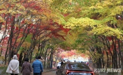울긋불긋 물든 단풍[쿠키포토]