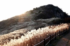 창녕 화왕산 은빛 억새와 함께 가을 추억 만들고 피로 해소는 부곡온천에서