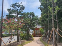 완주군 삼례 명품가로수길 ‘모범 도시숲’ 선정