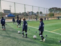 고성군 스포츠타운서 유소년 축구 대회 열려 [고성소식]