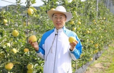 경상남도, 배출가스 5등급 자동차 운행제한 시행 [경남브리핑]