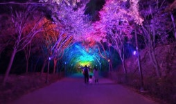 시민이 뽑은 천안 10대뉴스  예상밖   1위... 독립기념관 야간조명