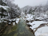 강원 고성군 4년 연속 관광객 1000만명 …동해안 여름 휴양지 1위 등극