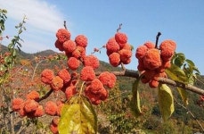 산청군, 경로당 운영 지원·활성화 마련 {산청소식]