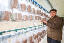 “장 담그는 계절이 찾아왔어요” [포토뉴스]