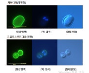 부산시 상수도사업본부, 경남 상수도 대상 병원성 미생물 검사 지원