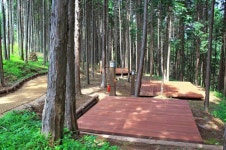 사천시, 사천케이블카 자연휴양림 숲 나눔 치유캠프 개최 [사천소식]