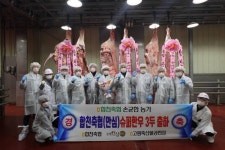 합천군 한 농장에서 슈퍼한우 3마리 동시 출하