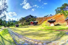 영월 장릉 일원에 도깨비마을 조성…66억 투입