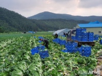 태백시, 상반기 외국인 계절근로자 1차 15명 입국