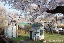 동해시, 유천문화축제 시작으로 축제·행사 쏟아진다