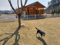 수성구, 생각을 담는 정원에 ‘반려견 대기소’ 운영