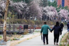 ‘벚꽃 보며 음악들어요’ 당현천 벚꽃음악회 개최