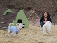 영양군, 반려동물 친화 도시로 거듭...동반입장 자연휴양림도 보유