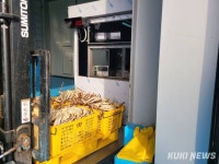 2억원대 러시아 대게·킹크랩 빼돌린 일당 동해해경에 검거 