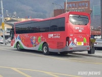 야생화는 태백에서...태백시, 천상의 화원, 금대봉 야생화 시티투어