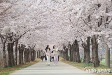 기피 장소에서 힐링 명소로…확 바뀐 동해시 전천
